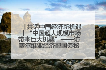 共话中国经济新机遇丨“中国超大规模市场带来巨大机遇”——访塞尔维亚经济部国务秘书尼科利奇