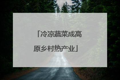 冷凉蔬菜成高原乡村热产业