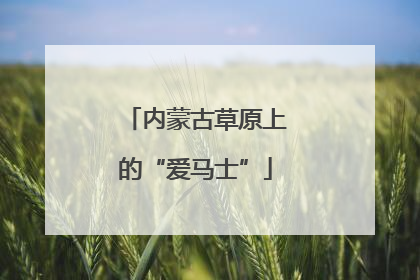 内蒙古草原上的“爱马士”