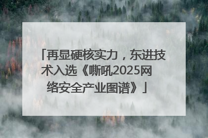 再显硬核实力，东进技术入选《嘶吼2025网络安全产业图谱》