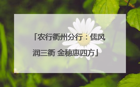 农行衢州分行：儒风润三衢 金穗惠四方