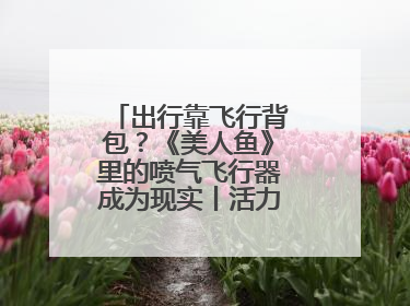 出行靠飞行背包？《美人鱼》里的喷气飞行器成为现实丨活力中国调研行
