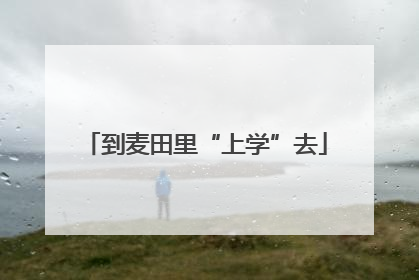 到麦田里“上学”去