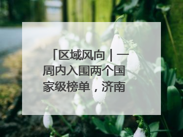 区域风向｜一周内入围两个国家级榜单，济南“显性增长”刷新城市影响力