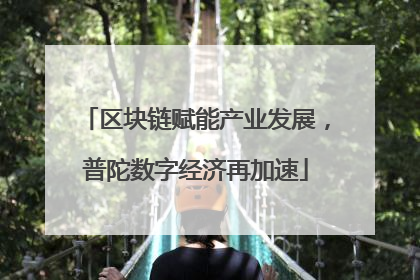 区块链赋能产业发展，普陀数字经济再加速