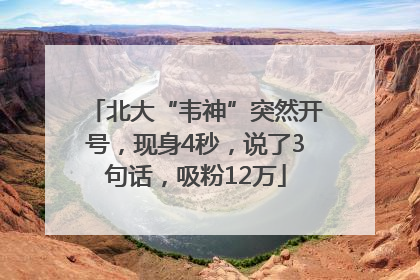 北大“韦神”突然开号，现身4秒，说了3句话，吸粉12万