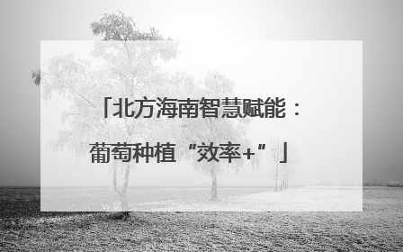 北方海南智慧赋能：葡萄种植“效率+”
