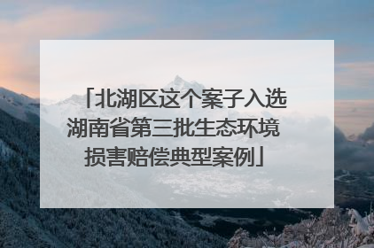 北湖区这个案子入选湖南省第三批生态环境损害赔偿典型案例