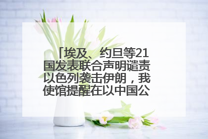 埃及、约旦等21国发表联合声明谴责以色列袭击伊朗，我使馆提醒在以中国公民尽快陆路离境