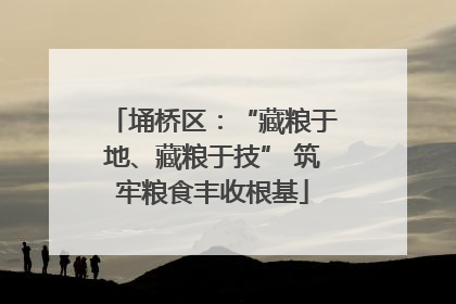 埇桥区：“藏粮于地、藏粮于技” 筑牢粮食丰收根基