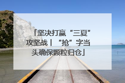 坚决打赢“三夏”攻坚战丨“抢”字当头确保颗粒归仓