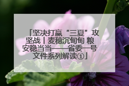 坚决打赢“三夏”攻坚战丨麦穗沉甸甸 粮安稳当当——省委一号文件系列解读①