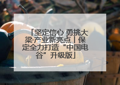 坚定信心 勇挑大梁·产业新亮点丨保定全力打造“中国电谷”升级版