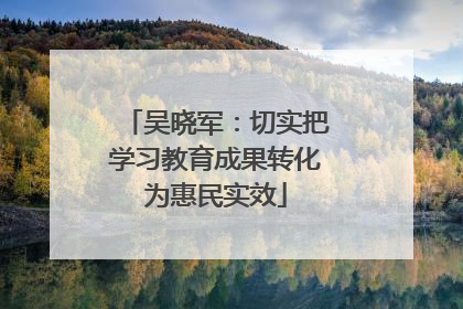 吴晓军：切实把学习教育成果转化为惠民实效