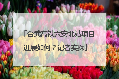 合武高铁六安北站项目进展如何？记者实探