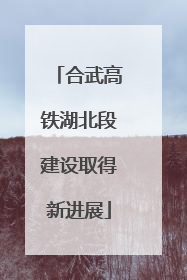 合武高铁湖北段建设取得新进展