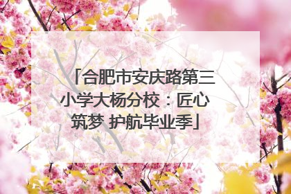 合肥市安庆路第三小学大杨分校：匠心筑梦 护航毕业季