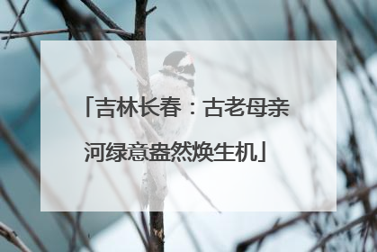 吉林长春：古老母亲河绿意盎然焕生机