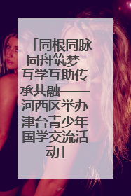 同根同脉同舟筑梦 互学互助传承共融——河西区举办津台青少年国学交流活动
