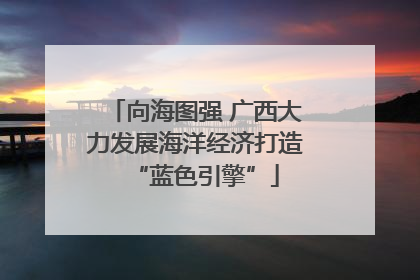 向海图强 广西大力发展海洋经济打造“蓝色引擎”