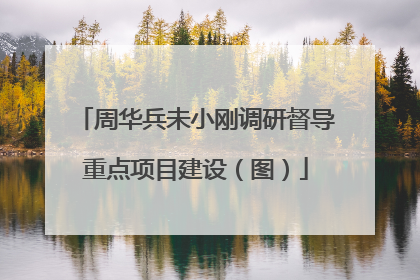 周华兵未小刚调研督导重点项目建设（图）