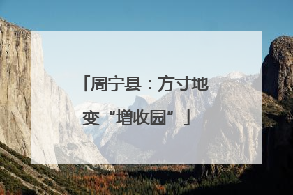 周宁县：方寸地变“增收园”