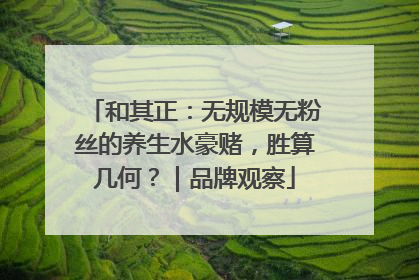 和其正：无规模无粉丝的养生水豪赌，胜算几何？｜品牌观察