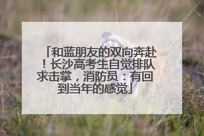 和蓝朋友的双向奔赴！长沙高考生自觉排队求击掌，消防员：有回到当年的感觉