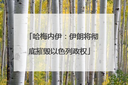 哈梅内伊：伊朗将彻底摧毁以色列政权