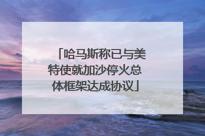 哈马斯称已与美特使就加沙停火总体框架达成协议