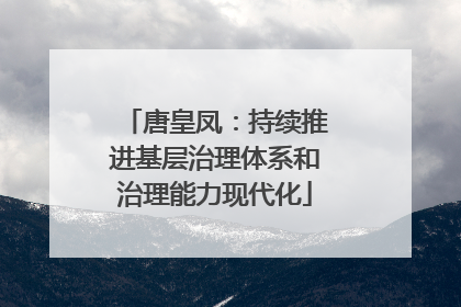 唐皇凤：持续推进基层治理体系和治理能力现代化