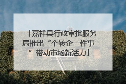 嘉祥县行政审批服务局推出“个转企一件事”带动市场新活力