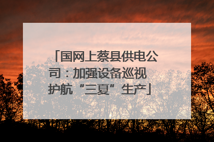 国网上蔡县供电公司：加强设备巡视 护航“三夏”生产