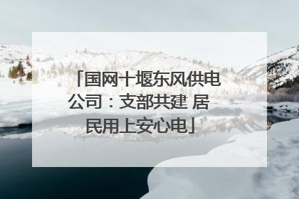 国网十堰东风供电公司：支部共建 居民用上安心电