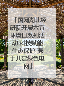 国网湖北经研院开展六五环境日系列活动 科技赋能生态保护 携手共建绿色电网