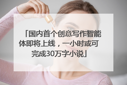 国内首个创意写作智能体即将上线，一小时或可完成30万字小说