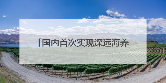 国内首次实现深远海养殖规模化投产 连江80万尾绿鳍马面鲀上市