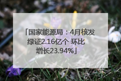 国家能源局：4月核发绿证2.16亿个 环比增长23.94%
