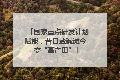 国家重点研发计划赋能，昔日盐碱滩今变“高产田”