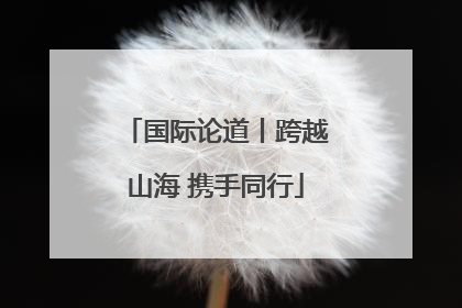 国际论道丨跨越山海 携手同行