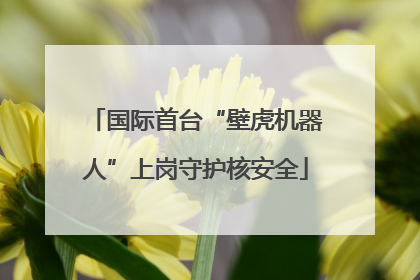 国际首台“壁虎机器人”上岗守护核安全