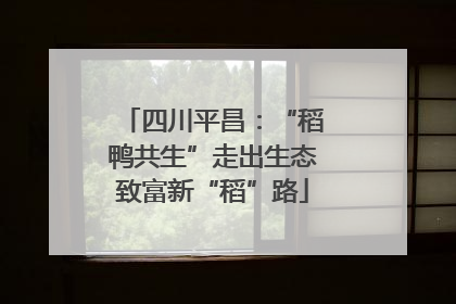 四川平昌：“稻鸭共生”走出生态致富新“稻”路