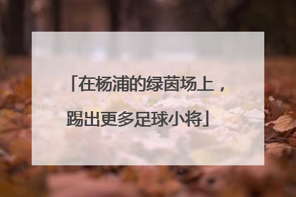 在杨浦的绿茵场上，踢出更多足球小将