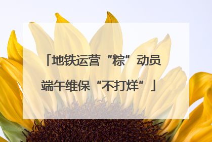 地铁运营“粽”动员 端午维保“不打烊”