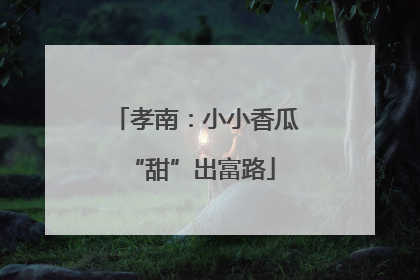 孝南：小小香瓜 “甜”出富路