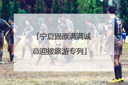 宁夏固原满满诚意迎接旅游专列