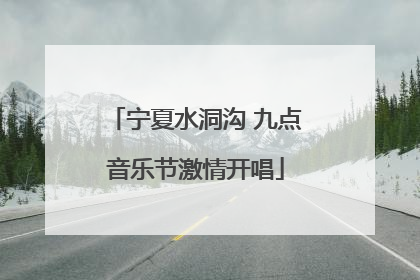 宁夏水洞沟 九点音乐节激情开唱