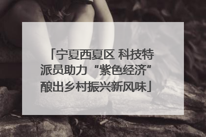 宁夏西夏区 科技特派员助力“紫色经济”酿出乡村振兴新风味