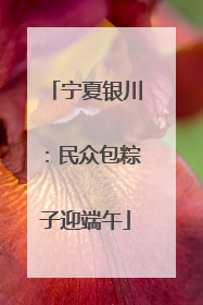 宁夏银川：民众包粽子迎端午