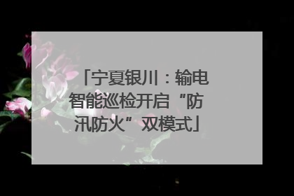 宁夏银川：输电智能巡检开启“防汛防火”双模式